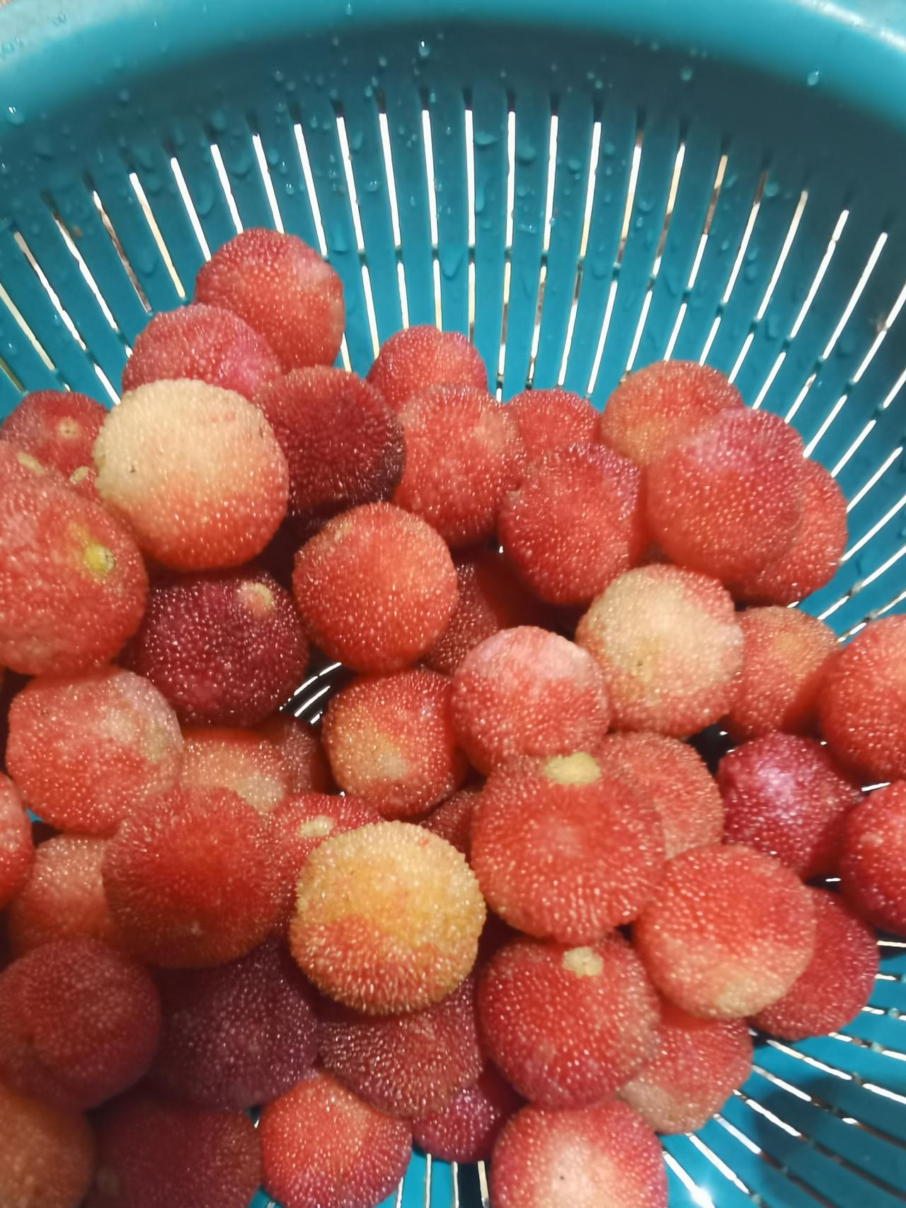 在东安市场，发现一个人买老太太的杨梅，说没打药，便买了1.5斤，并留下电话，下次