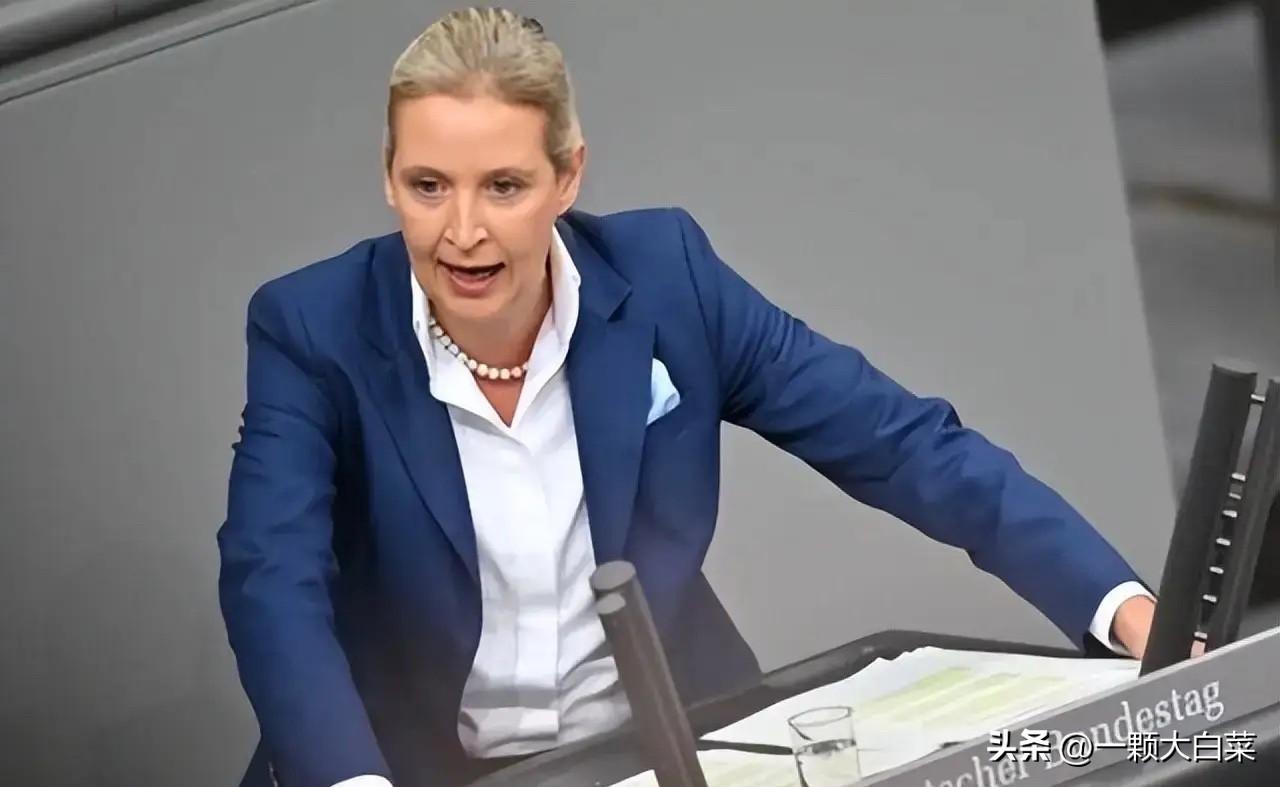 德国最大在野党直言：退出北约，不再当美国棋子

德国最大在野党最近算是把心里话都