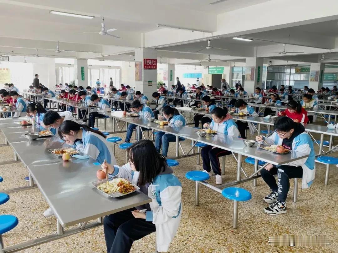 平顶山批评当地有些学校因为害怕担责，干脆把学校食堂和校服采购都停办或直接取消了。