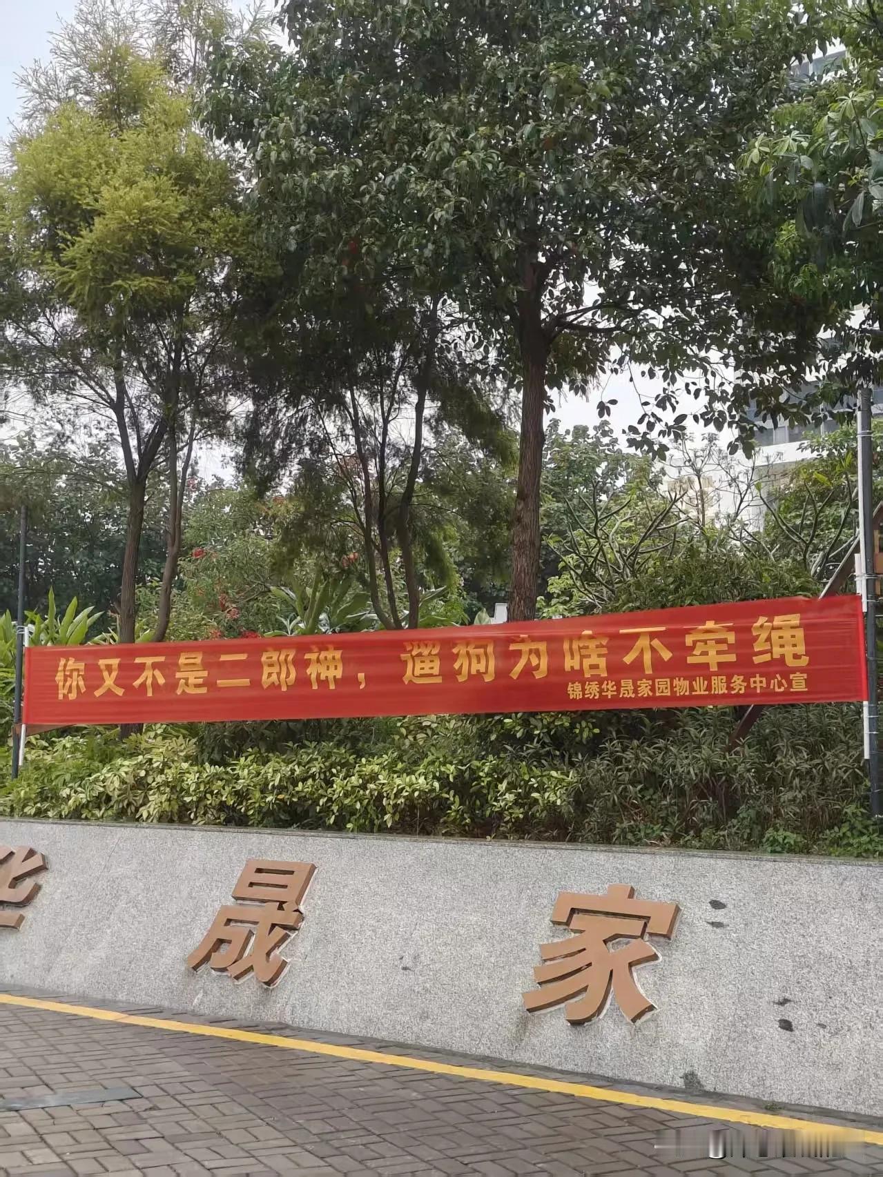 公租房不认租干等，能有吗？
大亚湾一邻居说，他们家也是深圳坪山户口，但是等了好几