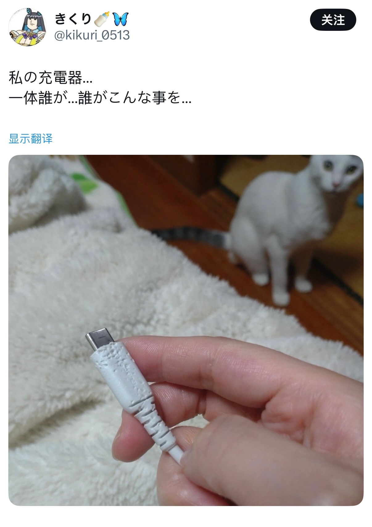 我的充电线...到底是谁...谁把它变成这样的... 