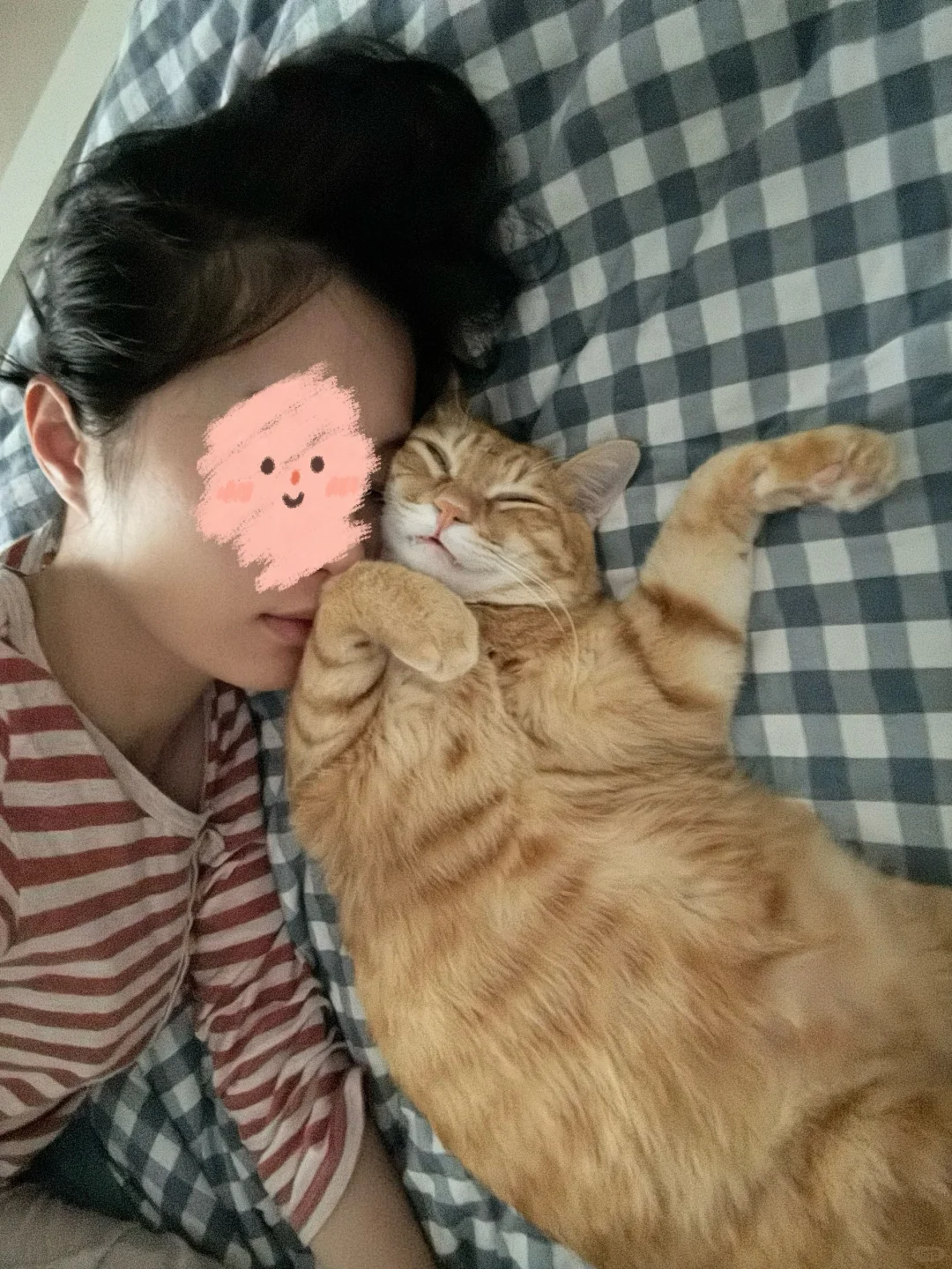 浓浓的小猫味