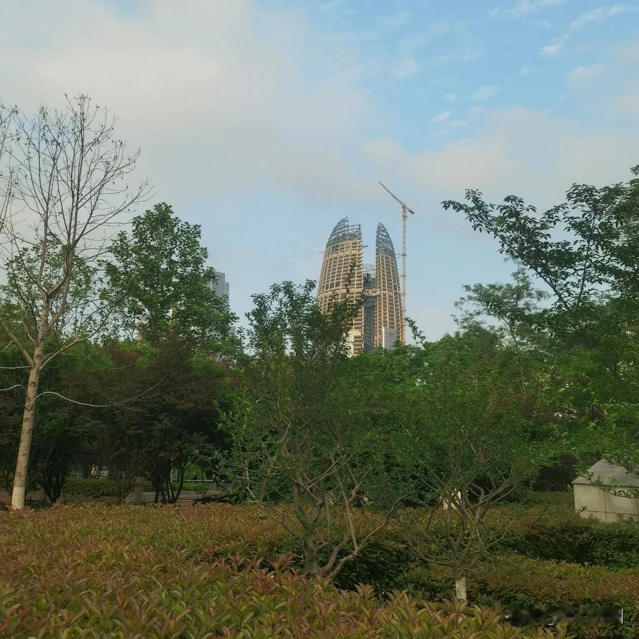 雨后的天空，一碧如洗；清晨的空气，格外清爽……