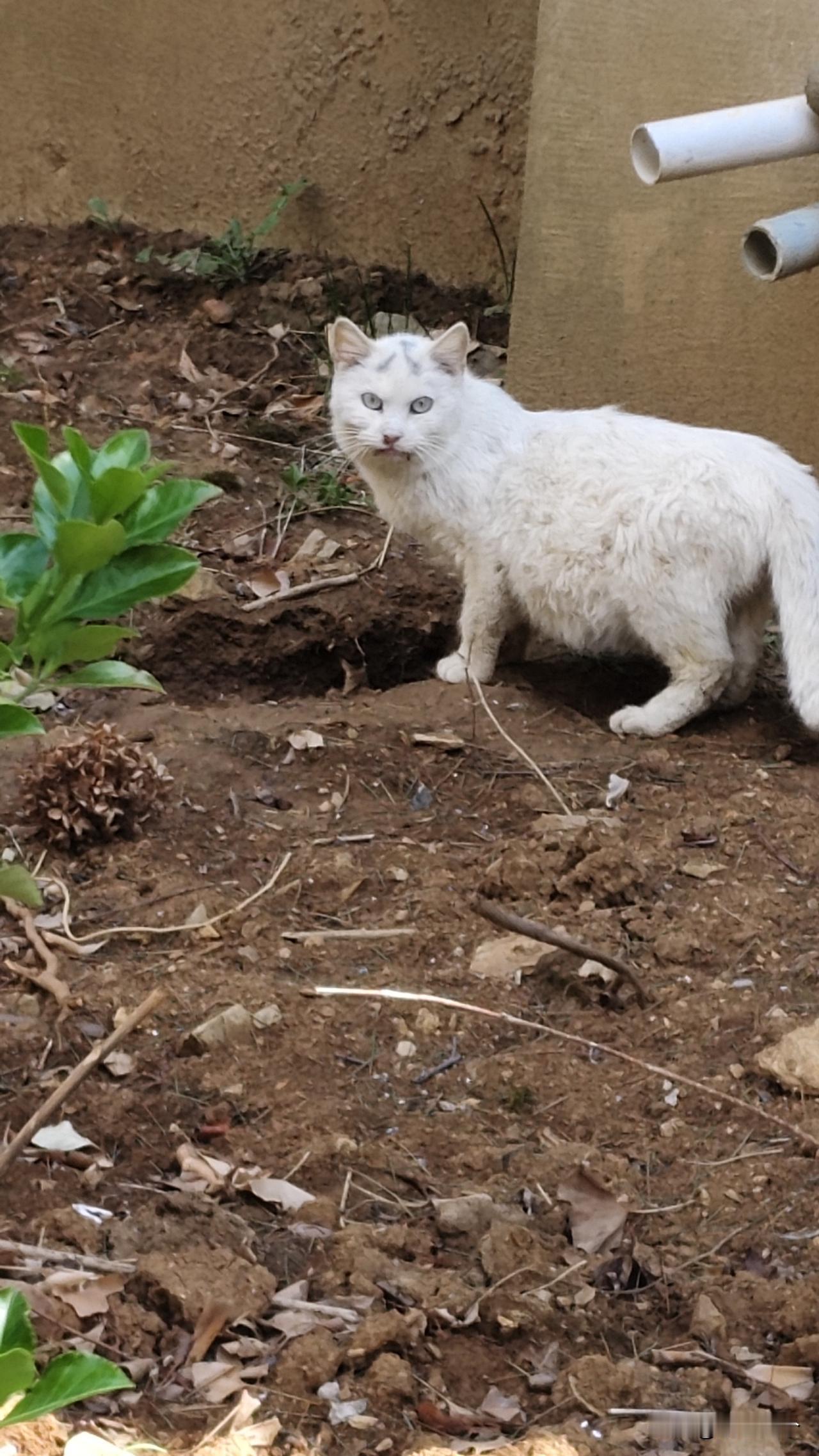 说实话我挺烦那些嚼舌根的老娘们的，人家的事该你个屁事。我不是在村里有房子闲了好多