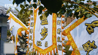 龙舟竟然也要走亲戚广东有只龙舟590多岁佛山590岁盐步老龙太牛了！400年前和