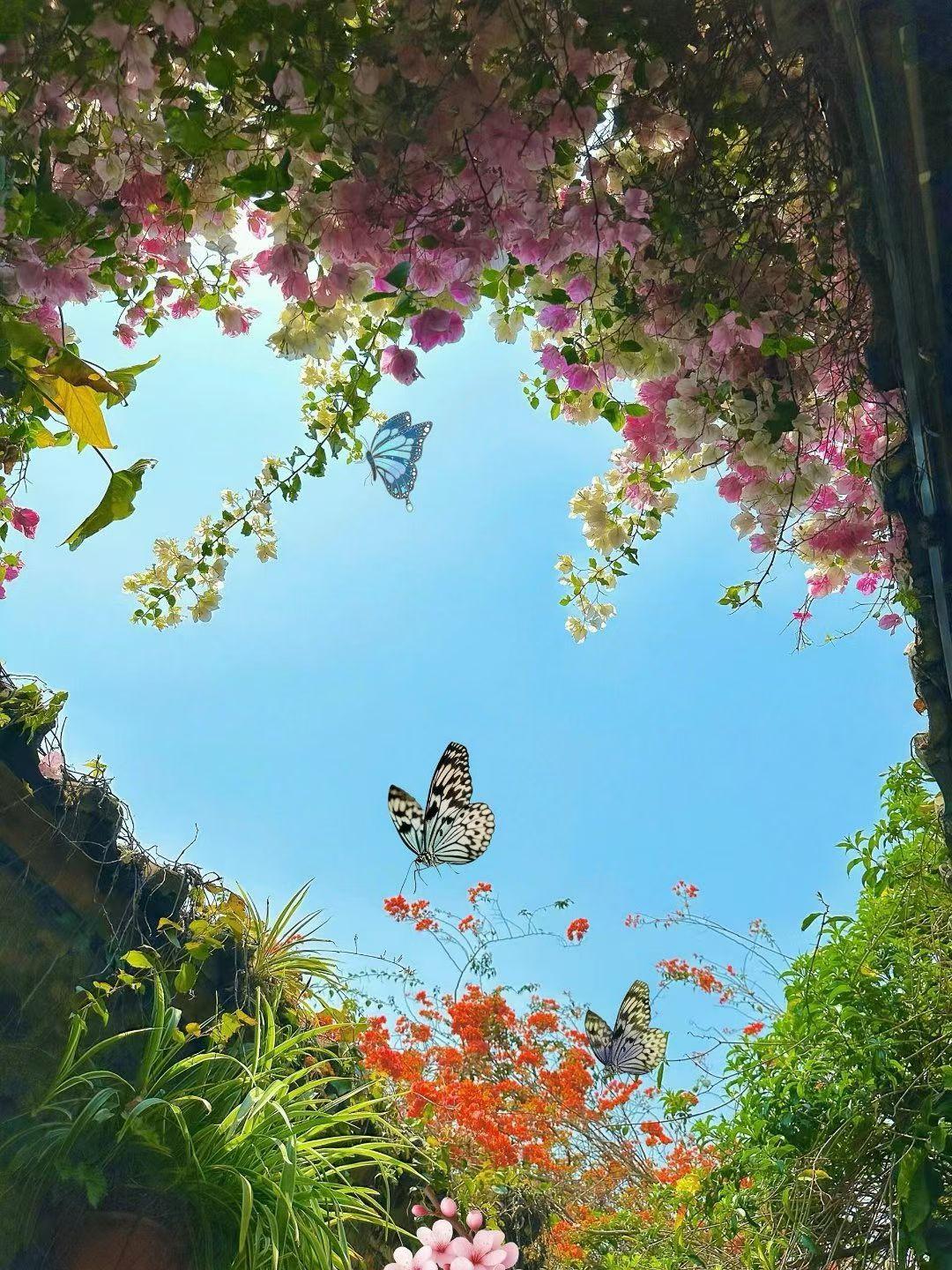 当一个人使劲踮起脚尖看见太阳的时候，全世界都挡不住他的阳光。