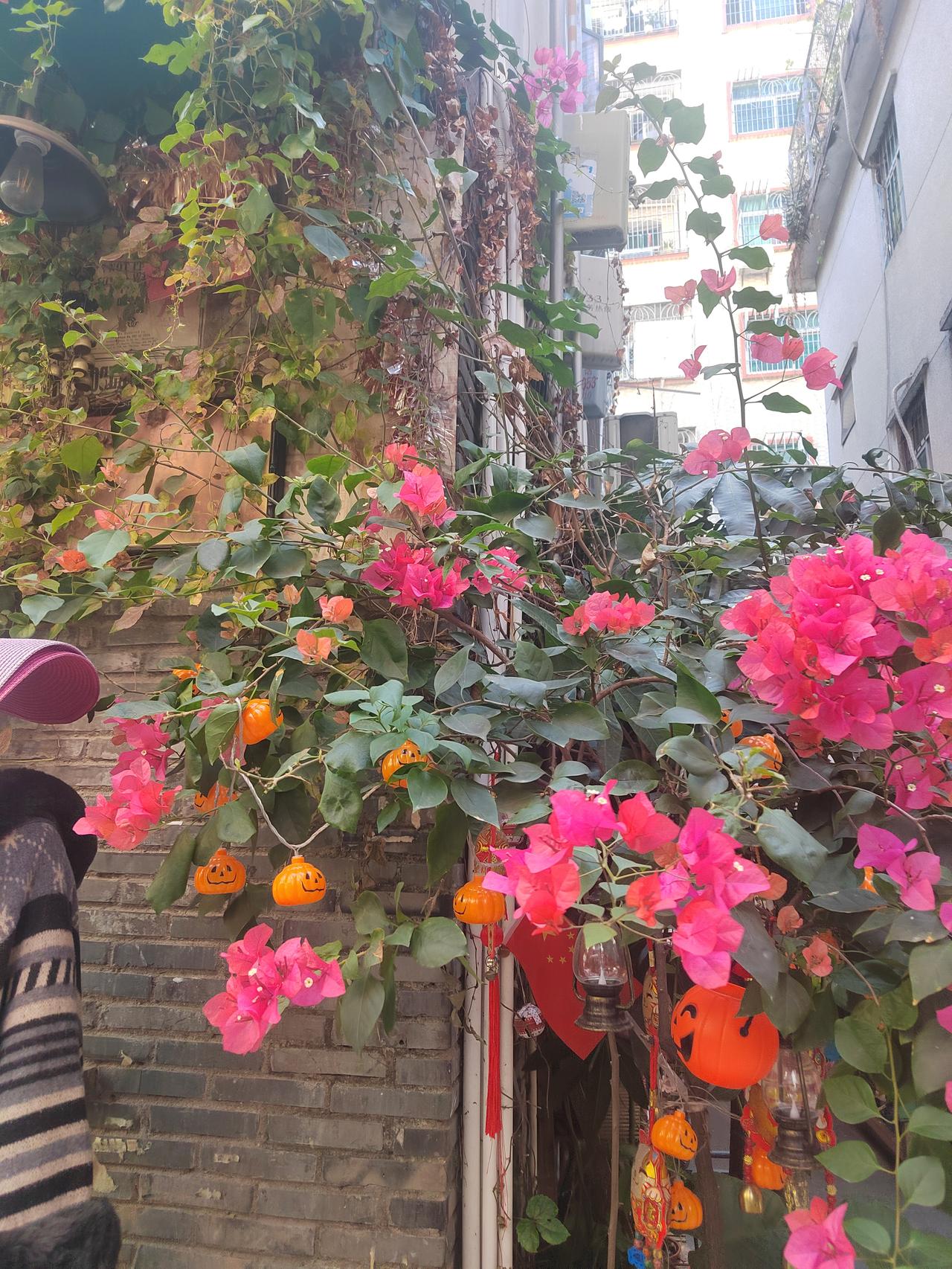 很多年以后，我们现在瞧不起的一些低层房子，老旧房子，或者又会成为我们明天很热爱的