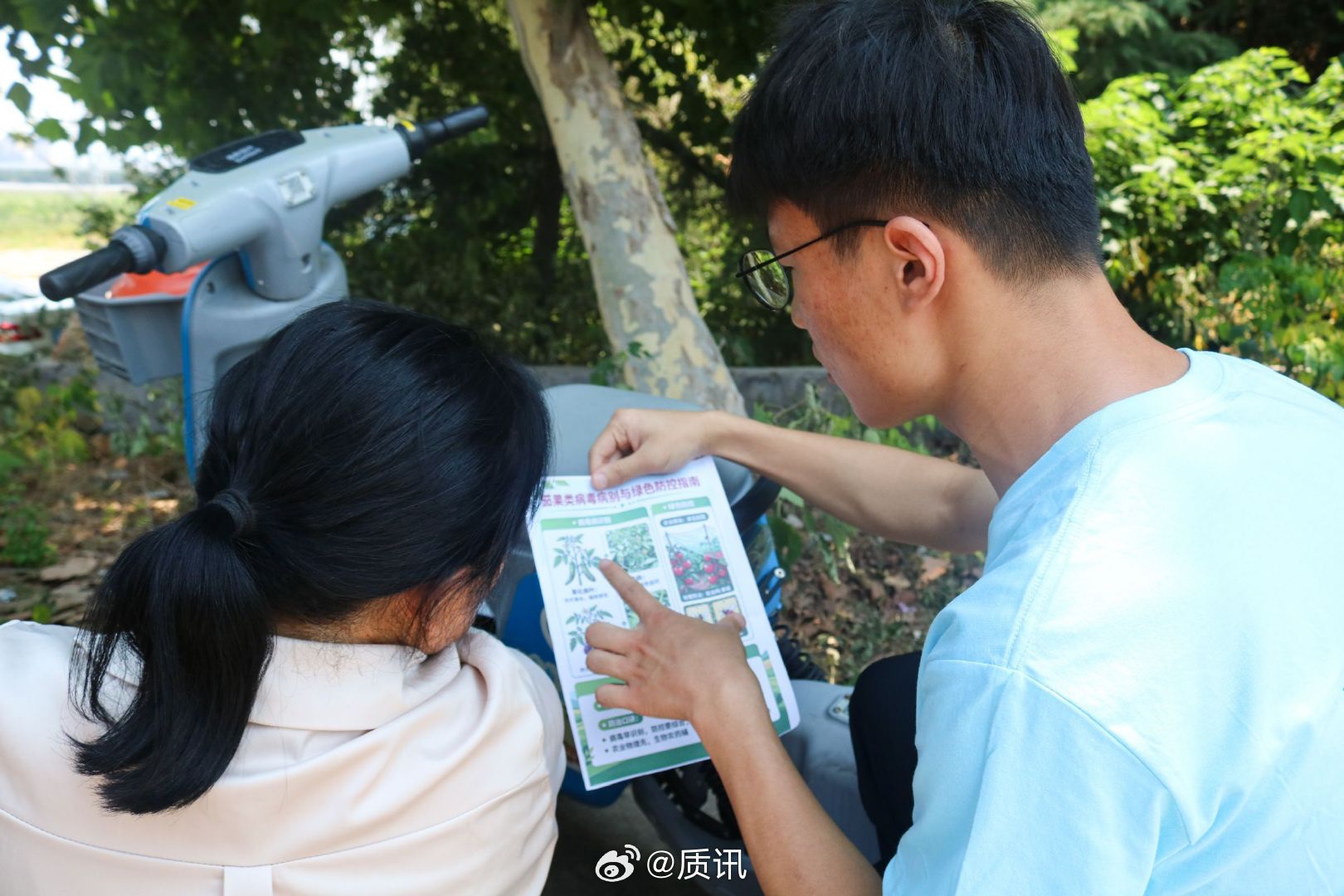 【学子夏风拂乡野，知行作桨赴乡土】山东学子深入田间学农技助农户山东青年暑期实践传