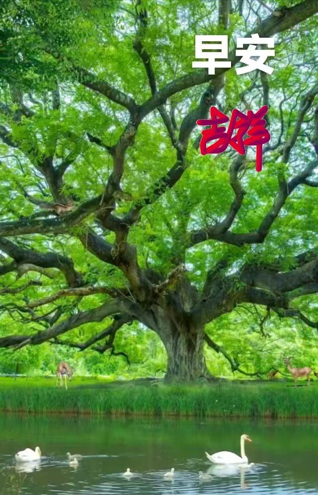 发两个图片，祝福我们幸福满满，快快乐乐！