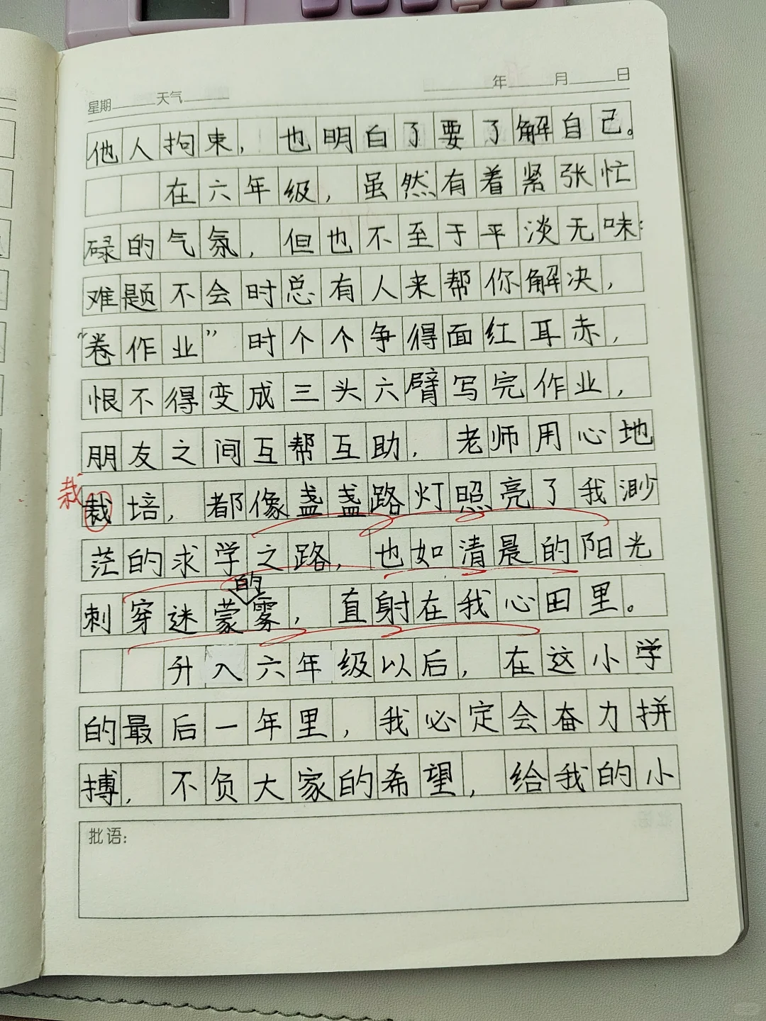 作文素材《升入六年级以后》
