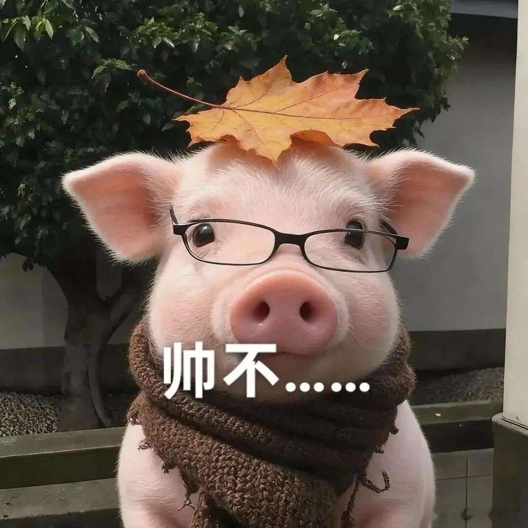 人工智能大时代，AI，物理AI，人形机器人，如果都不能诞生几家万亿市值企业。那就