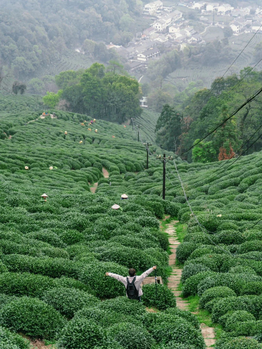 羡慕杭州人！居然有这么美的徒步路线❗