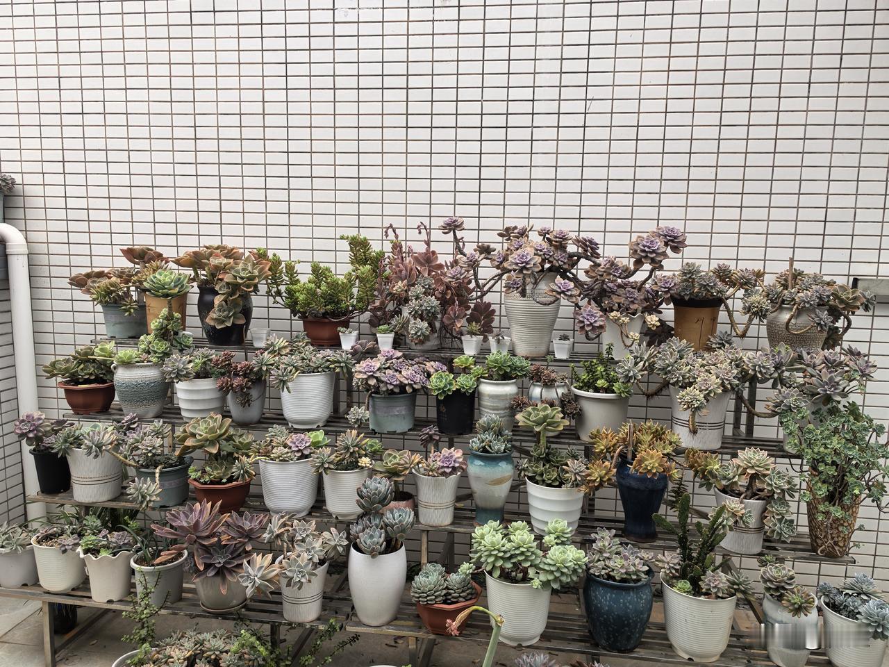 我们总以为跨年需要盛大的仪式感，比如烟火、拥抱和震耳欲聋的倒计时。

但真正的