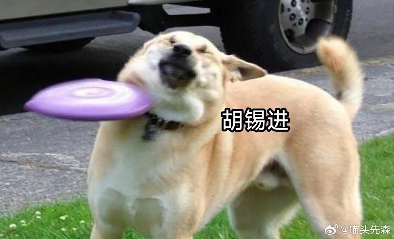 牢胡今天凌晨删帖的样子be like ​​​