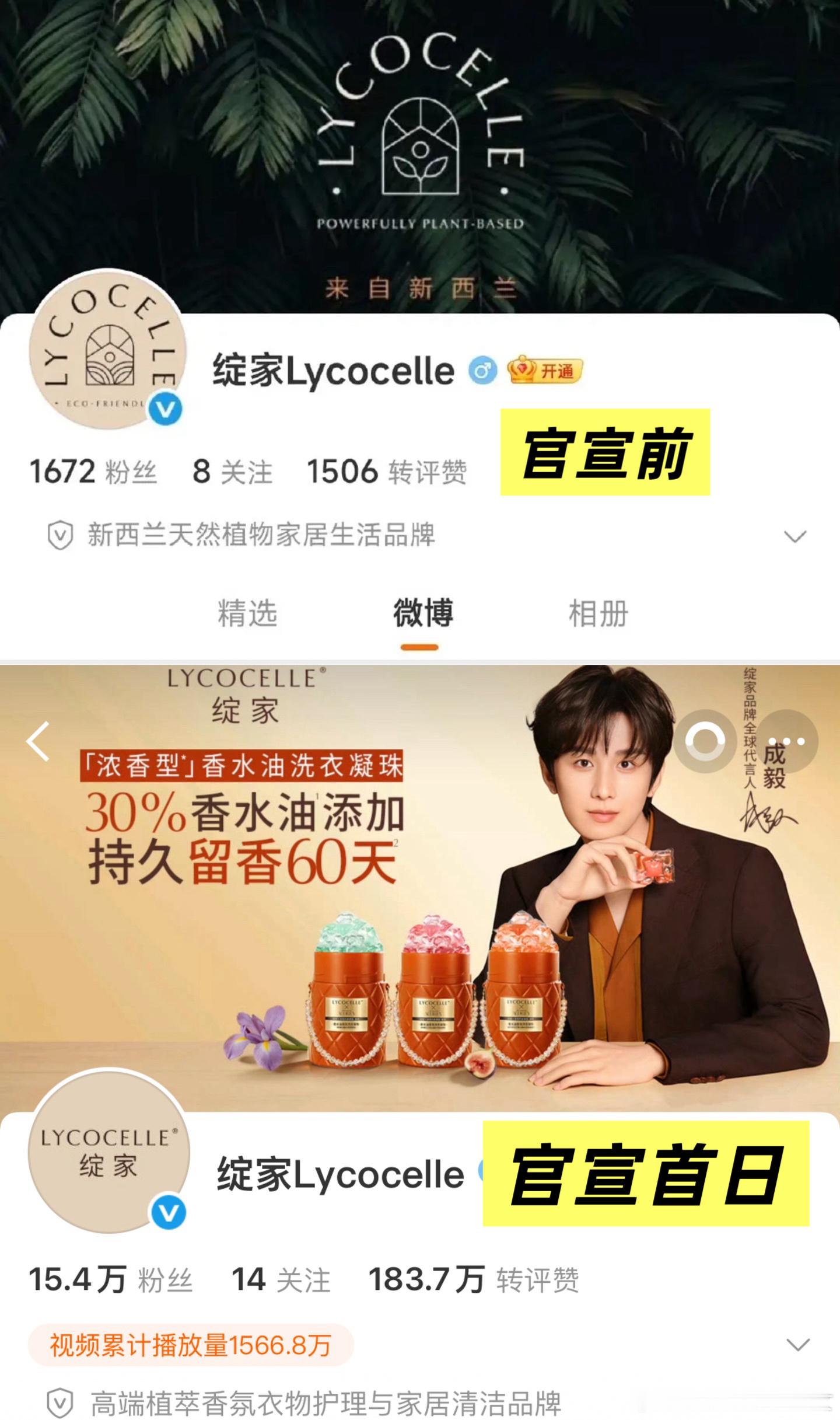 绽家官宣前1000多粉丝，今天刚官宣成毅首位全球代言人首日粉丝怒涨15万➕，内娱