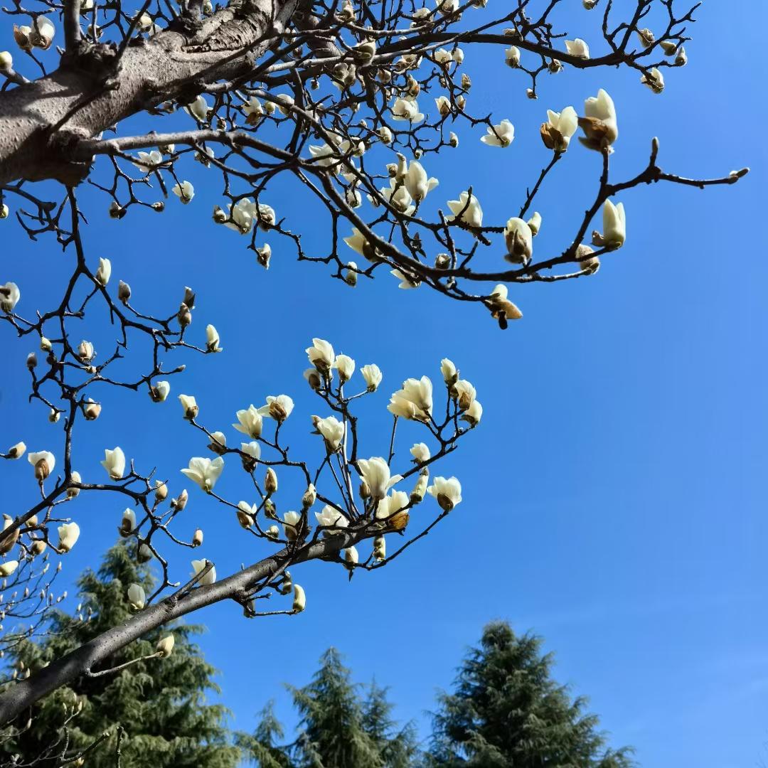 发现没有，
当今社会，你对别人再热情，也抵不过你对别人有用。
如果有一天，和你称