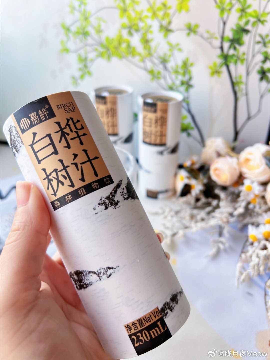 嘉桦天然白桦树汁火爆出圈学生党宿舍囤货友好饮品，没有乱七八糟添加剂，平价又健康，