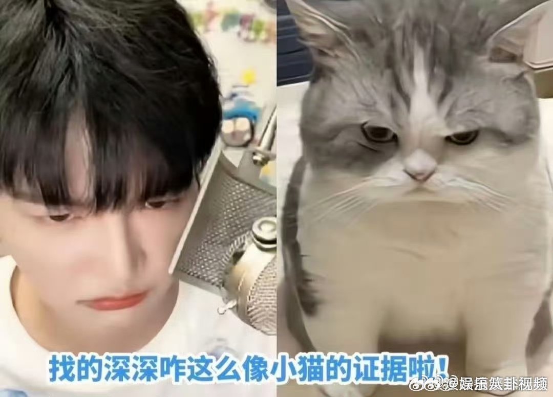 舞狮来了也得逗一逗周深阅文IP盛典阅文IP盛典最治愈画面！舞狮给周深送祝福，原本