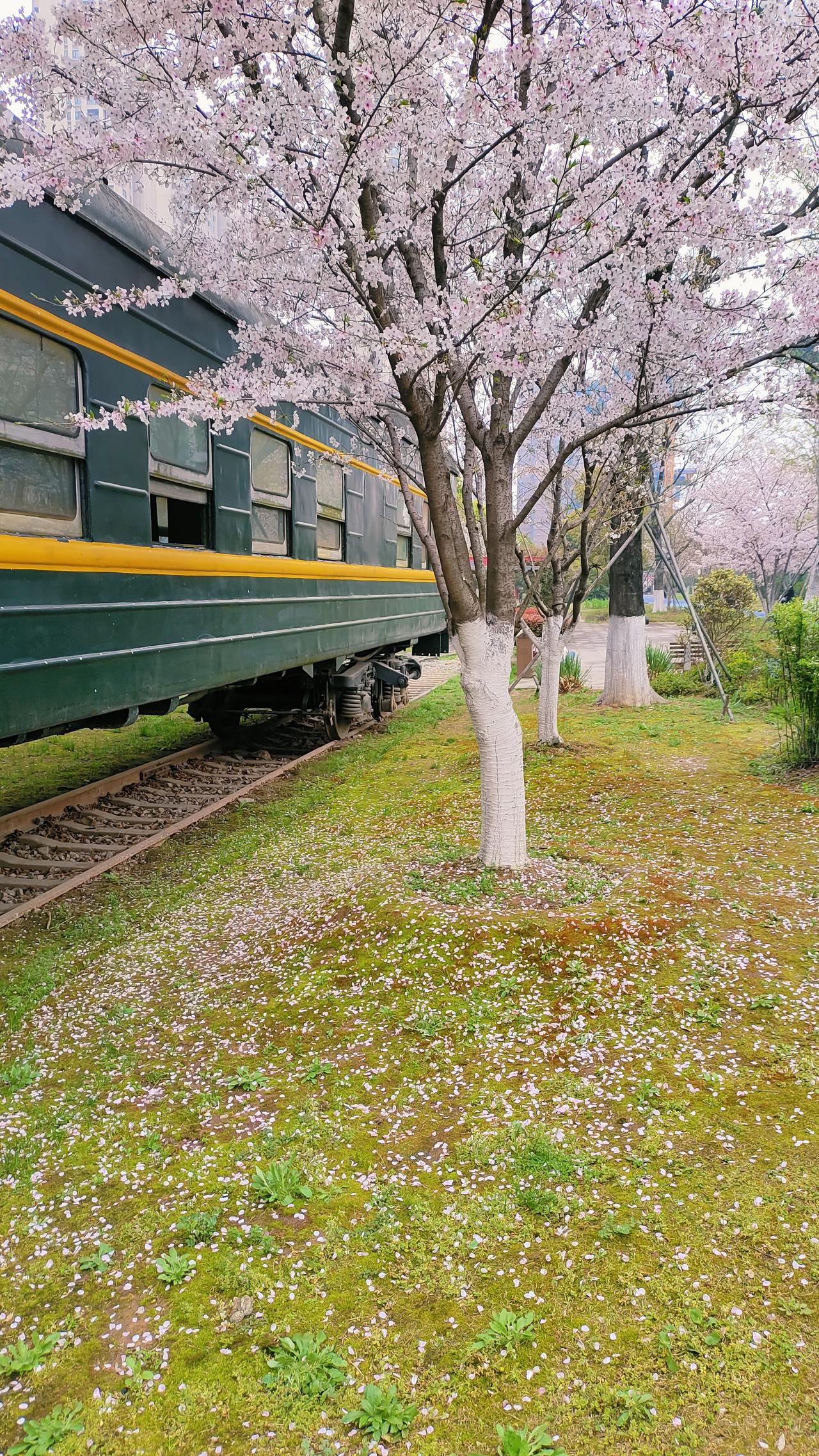 大量读书吧

读书可以解除你生活中的疑惑

当你在生活中遇到难题

去读书吧，去