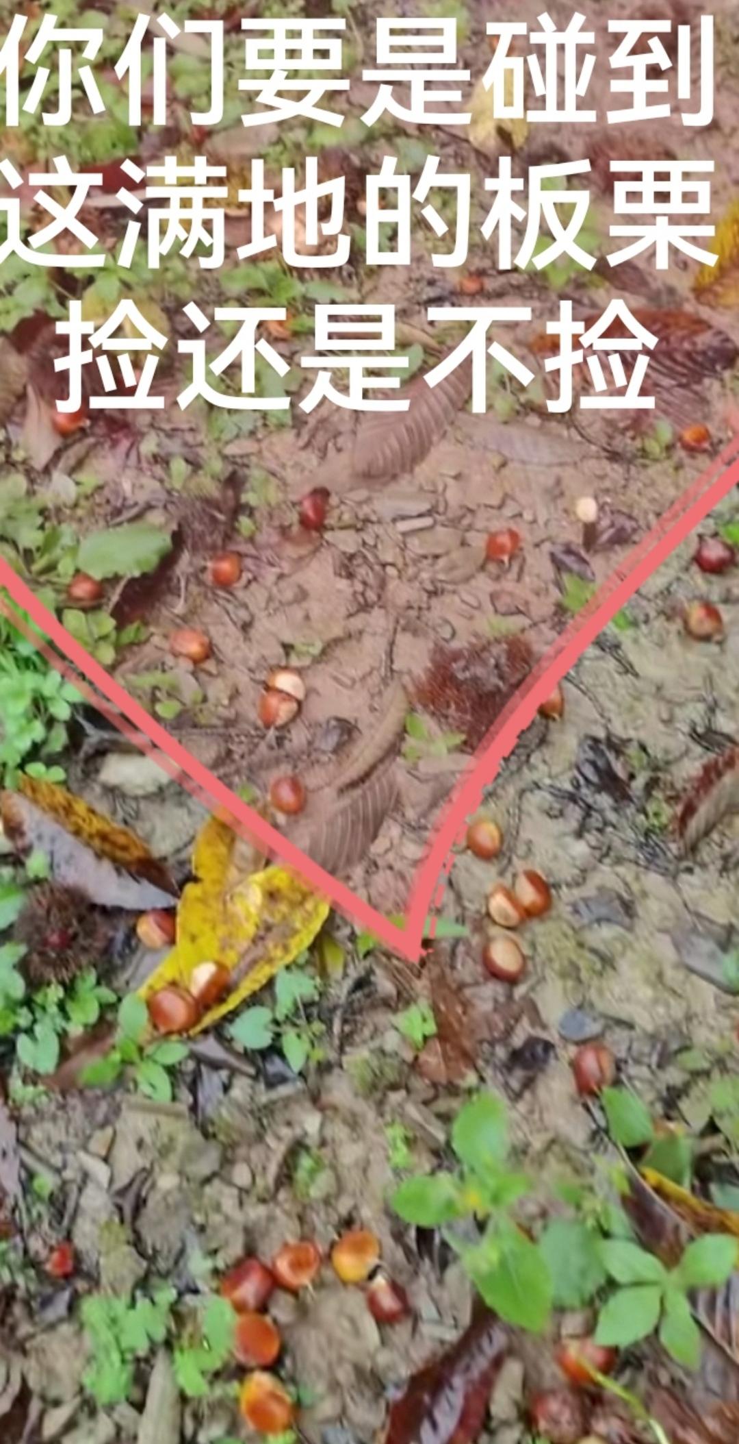 上山遇到的，捡还是不捡？