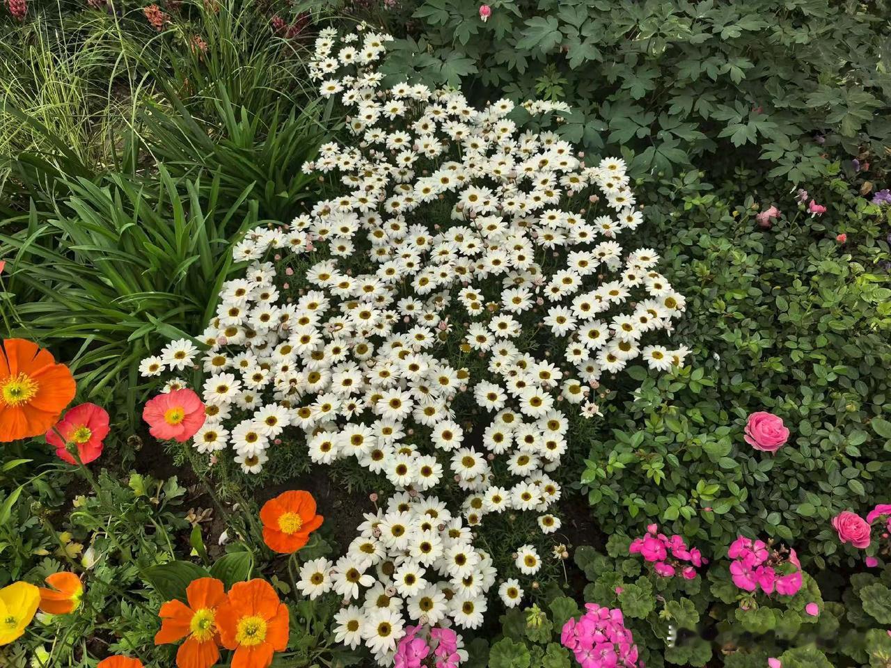 25万级别的智己LS8简直太卷了！增程版本不充电能跑近1000公里，满油满电综合