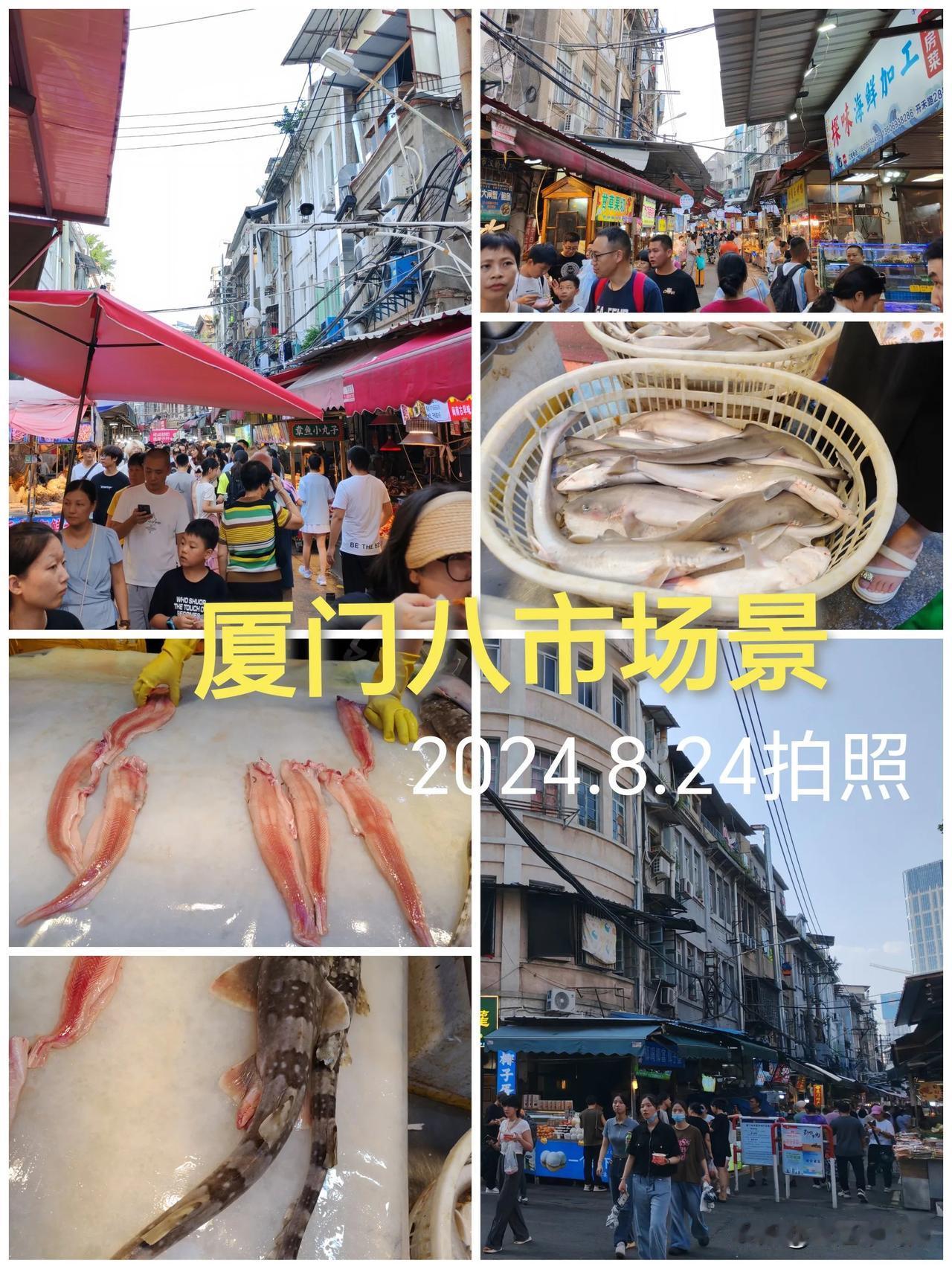 2024.8.24今天厦门第八市场人气高
#厦门随手拍摄# 
🦀🦐🥂
厦门