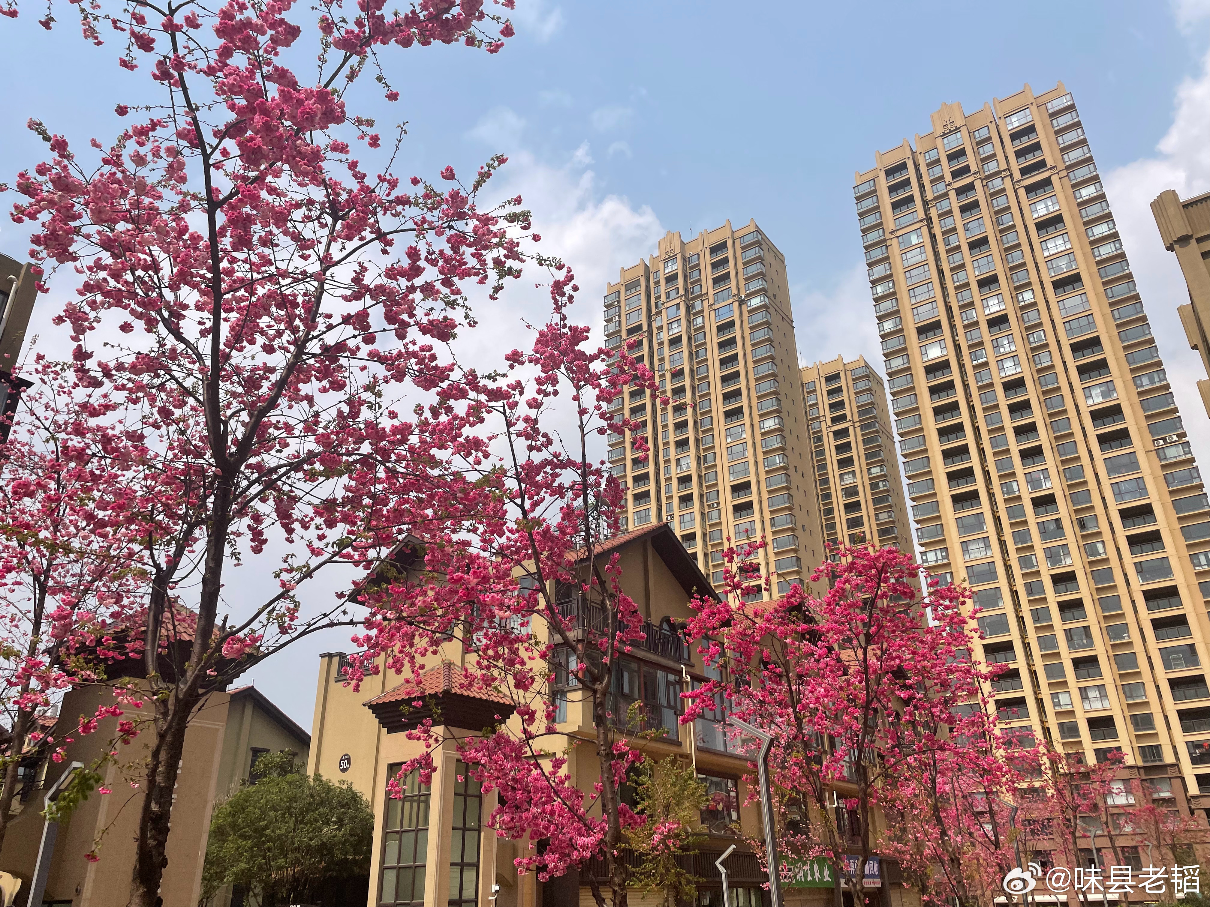 流水不争先，争的是滔滔不绝。草木不争春，争的是生生不息。 曲靖