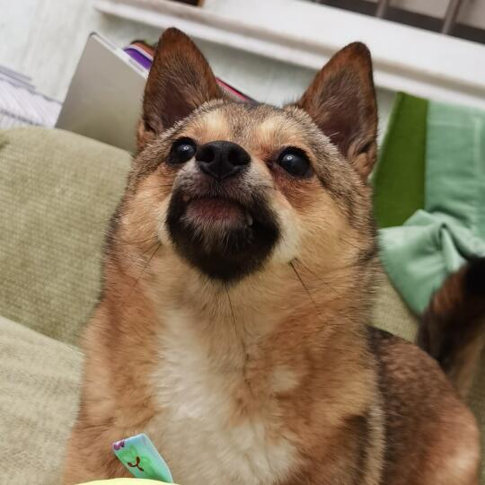 快乐成这样你过的一定很幸福