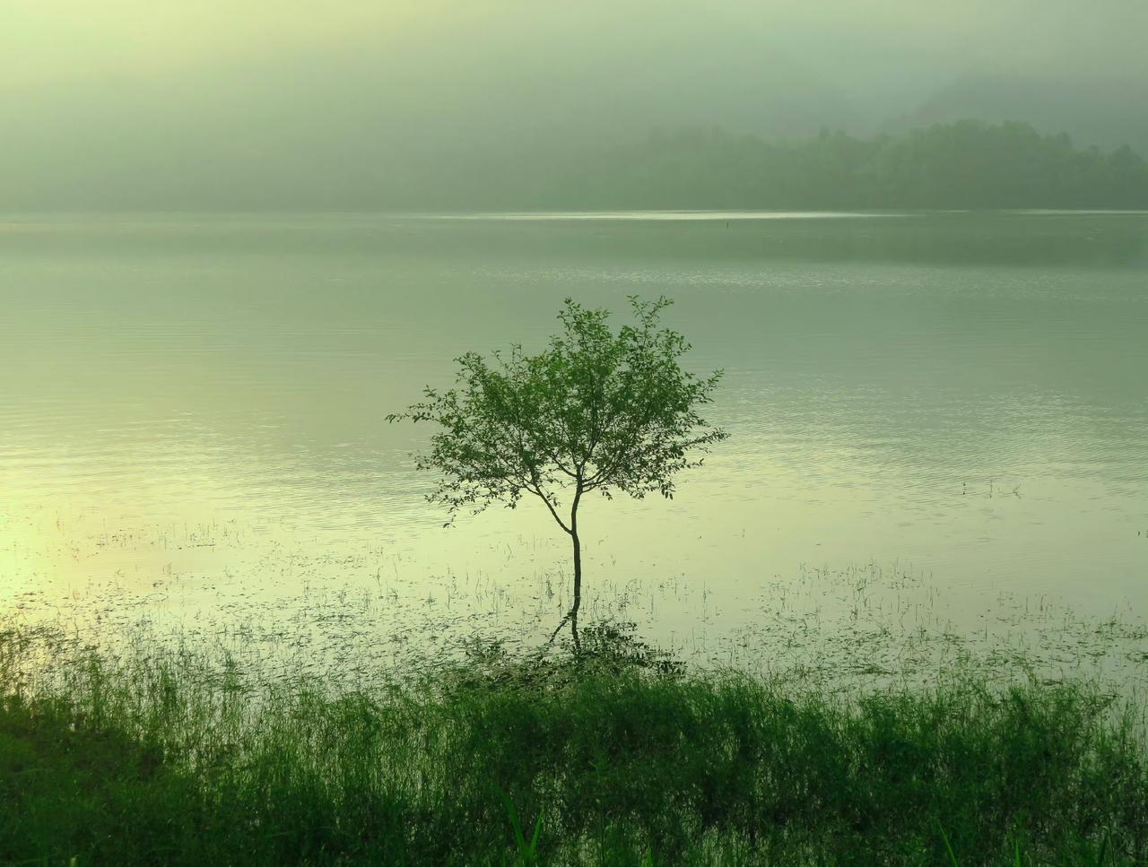 我们有很多的家长，可能还没有明白，现在中考比高考要重要的多，中考是一个分水岭，能