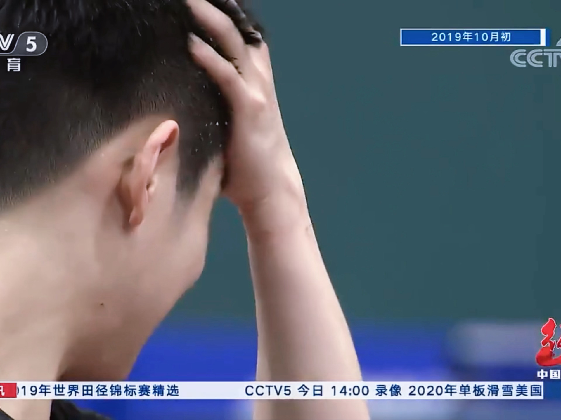 这种镜头真的很好看樊振东