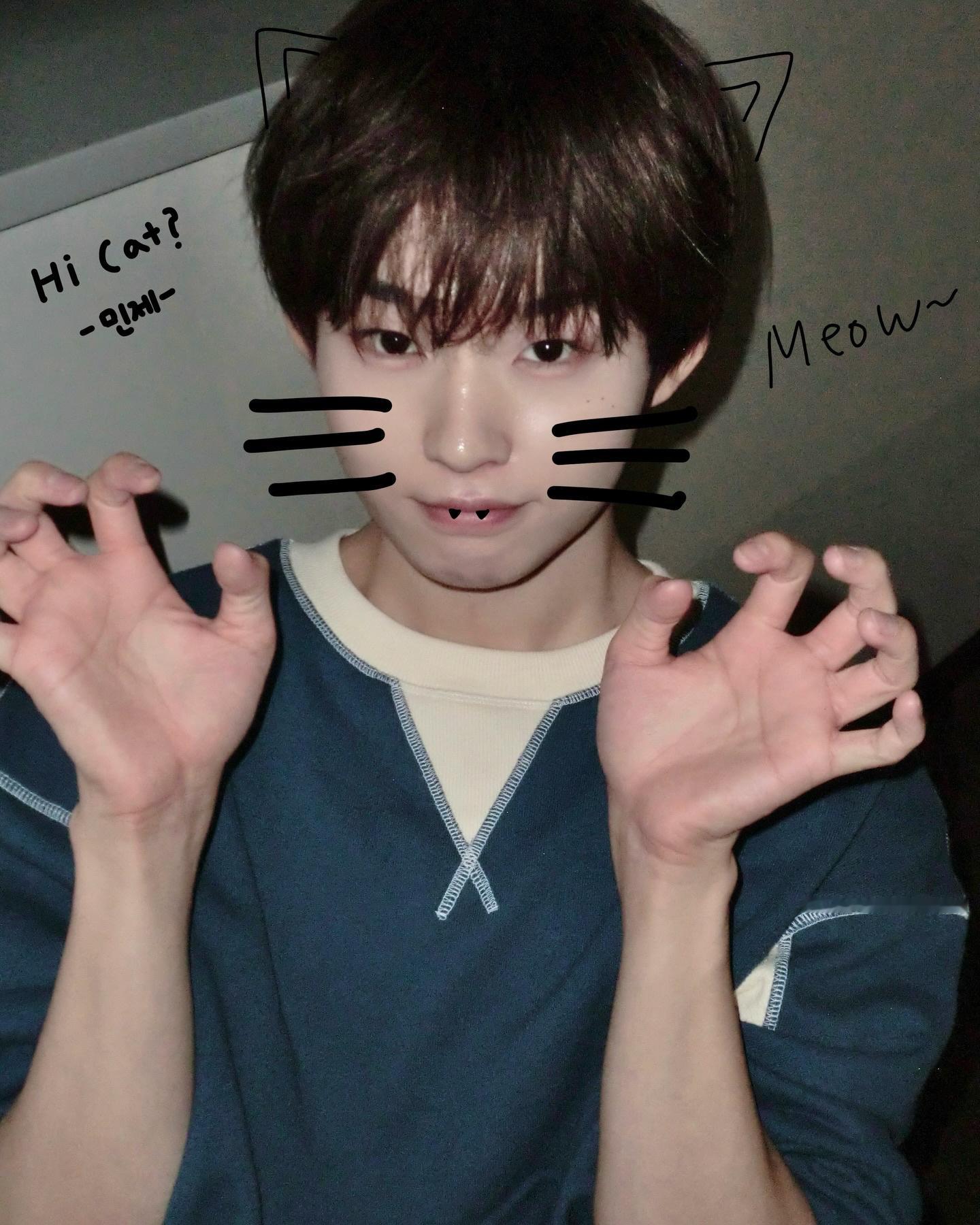 猫儿