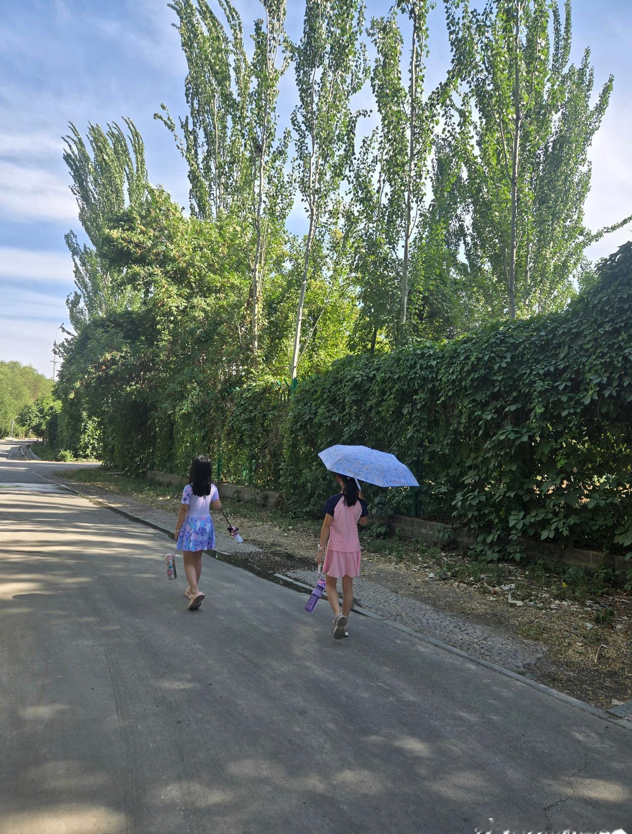 今年新疆太干燥了！这几天每天都高温接近40°C。
口舌生疮，话都说不了了。[笑哭