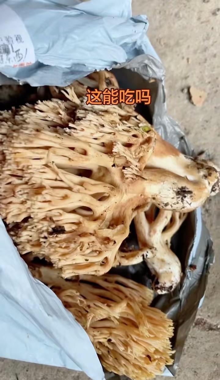 地球 online 提醒您，请勿在npc身上浪费太多时间，避免影响玩家自身情绪_