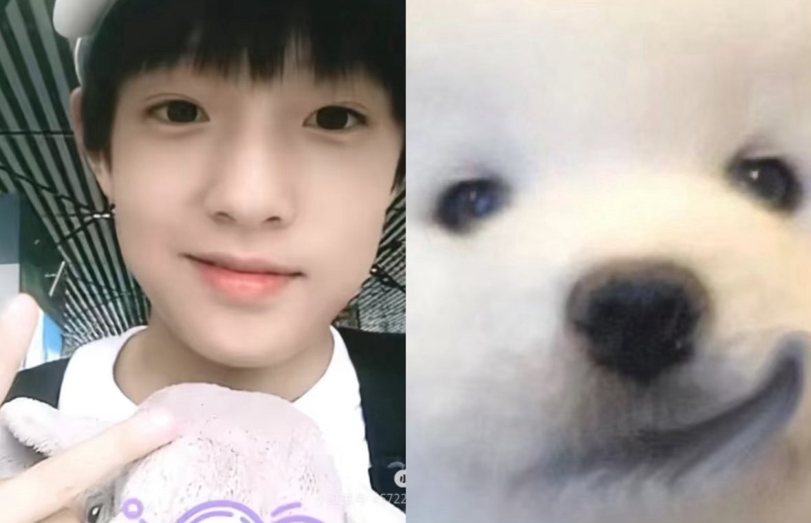 张泽禹发一下小猫被张泽禹狠狠治愈到！不按套路出牌的营业方式，藏着满满的可爱与真诚