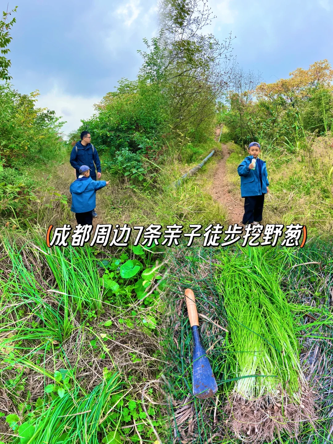 成都周边 1h‼️7️⃣条适合亲子徒步挖野葱路线