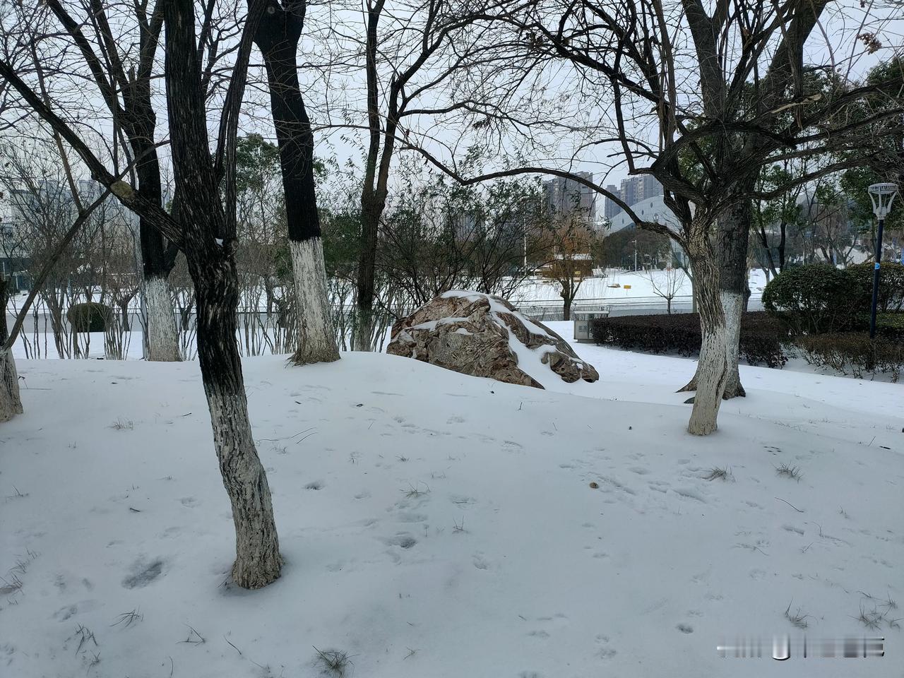 雪花纷飞，白雪皑皑。
#随拍下雪时景色# 

