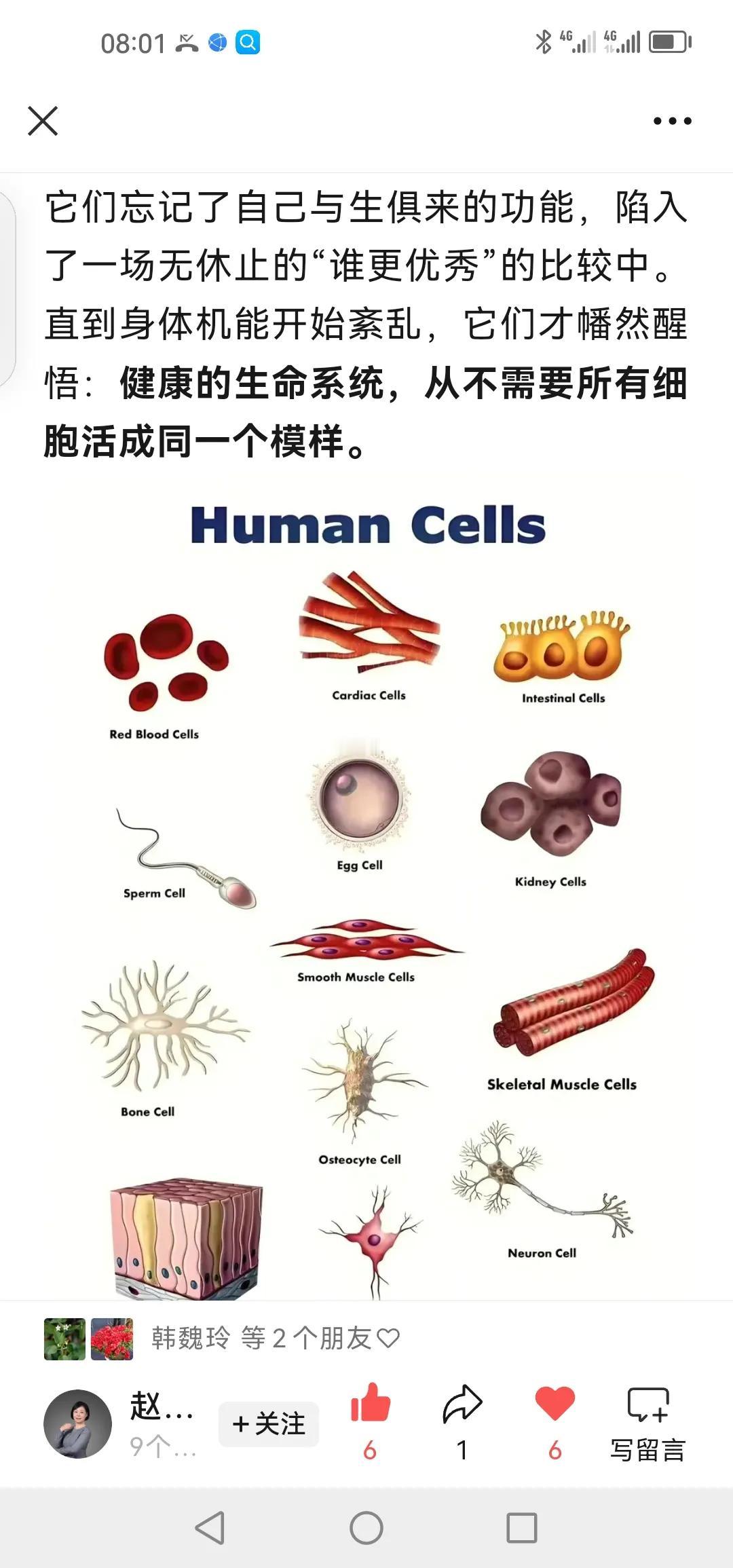 各安其道：细胞寓言的启示
（赵茹茜）
中华文化博大精深指导我们探索创新。

某日