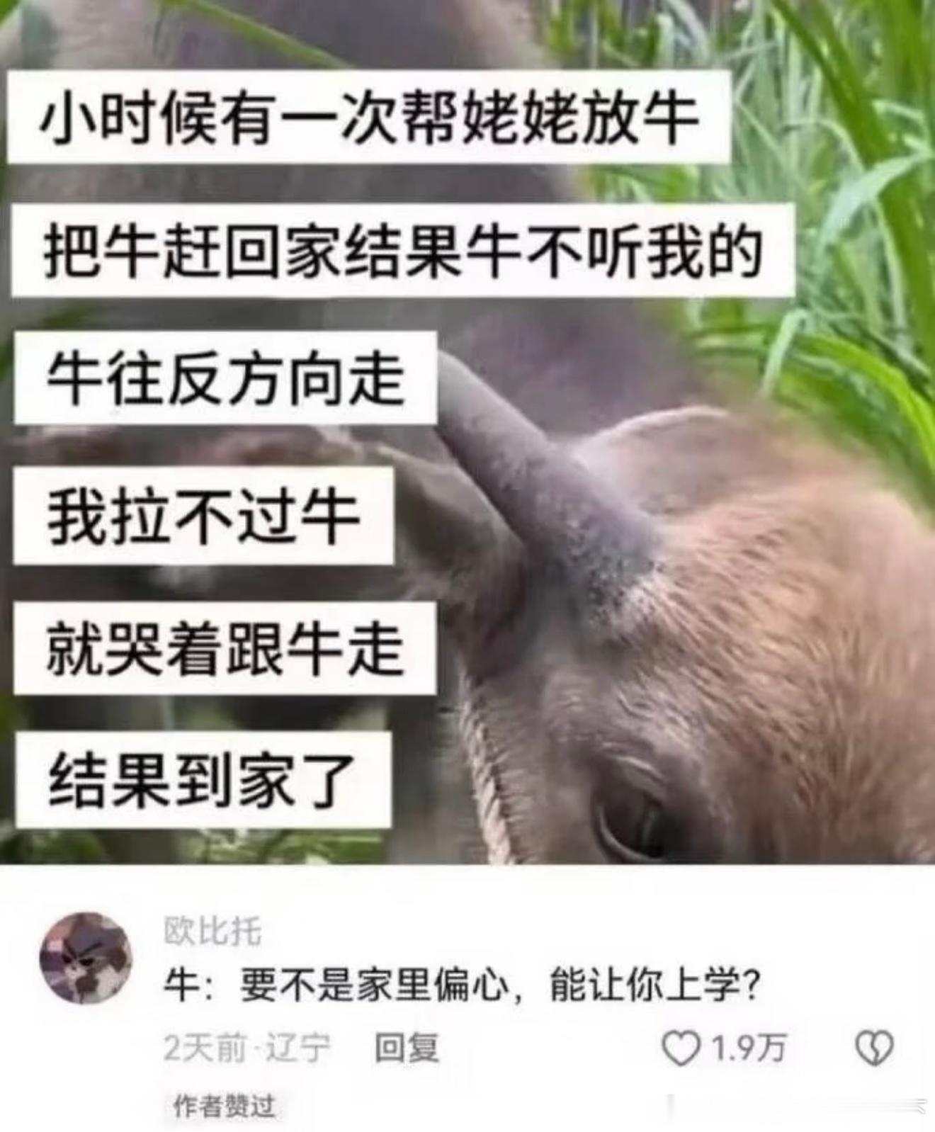7098牛已无语 ​​​