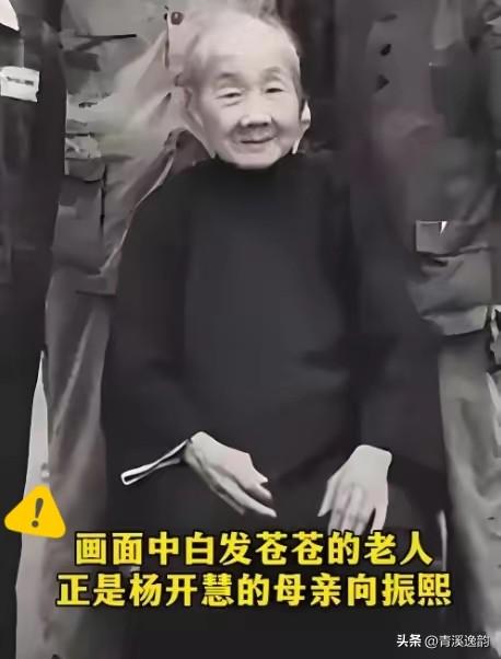 解放后，杨开慧的母亲向振熙老人跪地痛哭，她哭的不是逝去的女儿，而是替那个隐忍二十