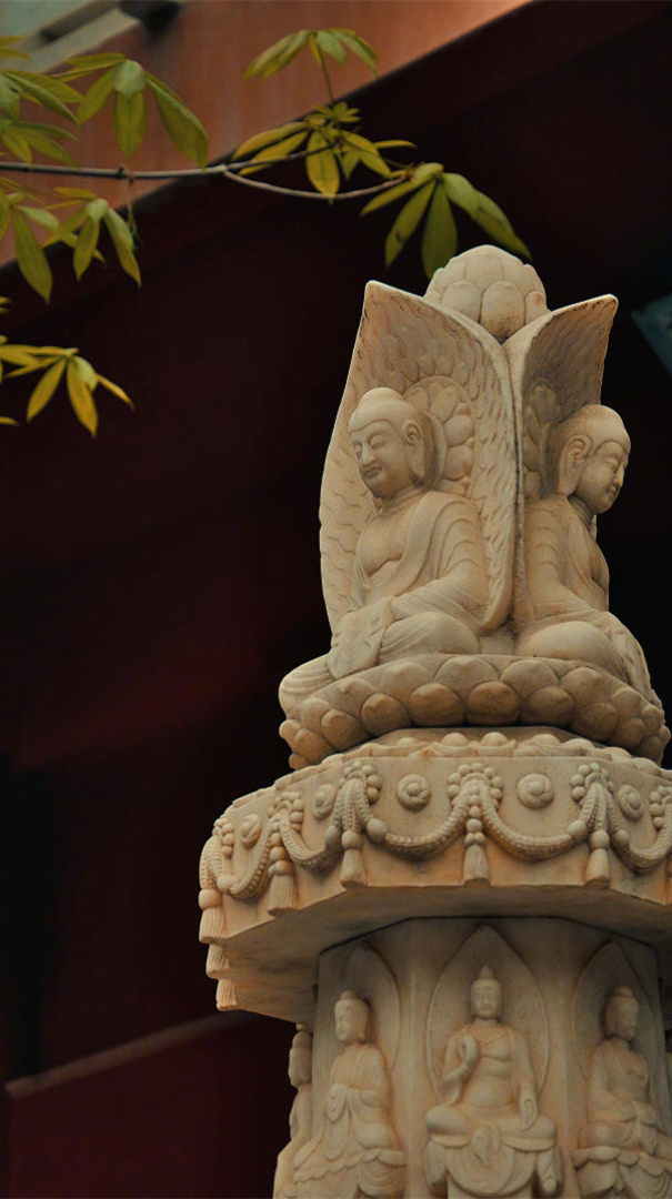 别人的尺子量不了你的人生  别人的地图找不到你要走的路  不要去看别人的人生  