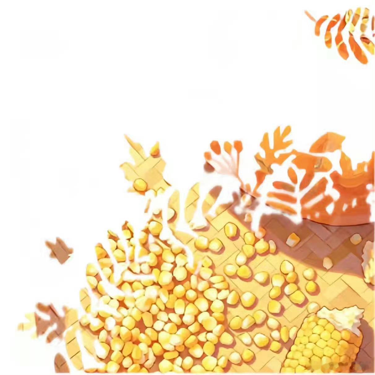 甜玉米1周岁To:可爱的米米们 🌽             ·        