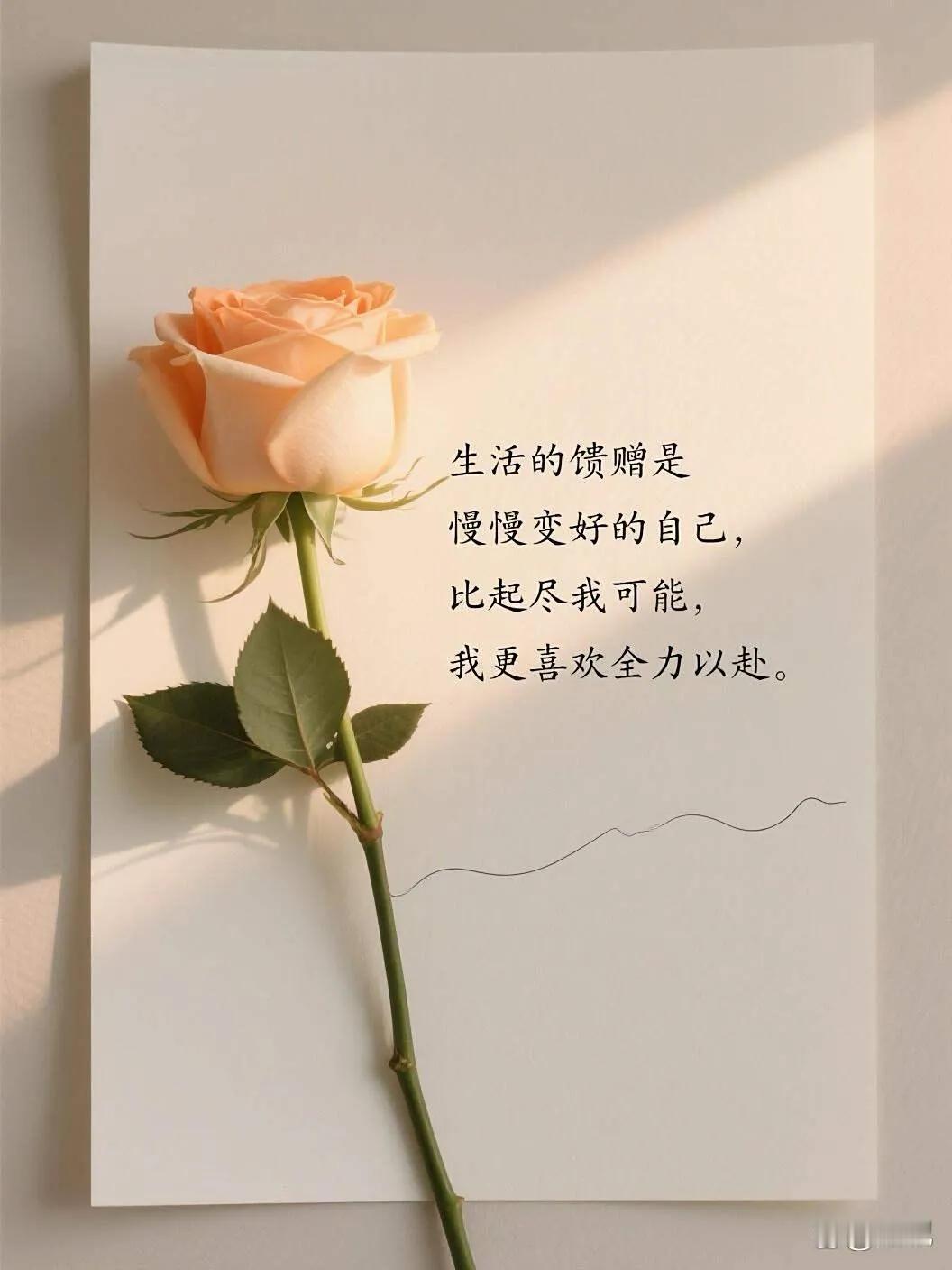 当下过得最为惬意的一群人
生活在让自己感觉舒适的一二线城市
拥有一套100多平、