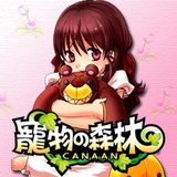 大团子侃侃汽车