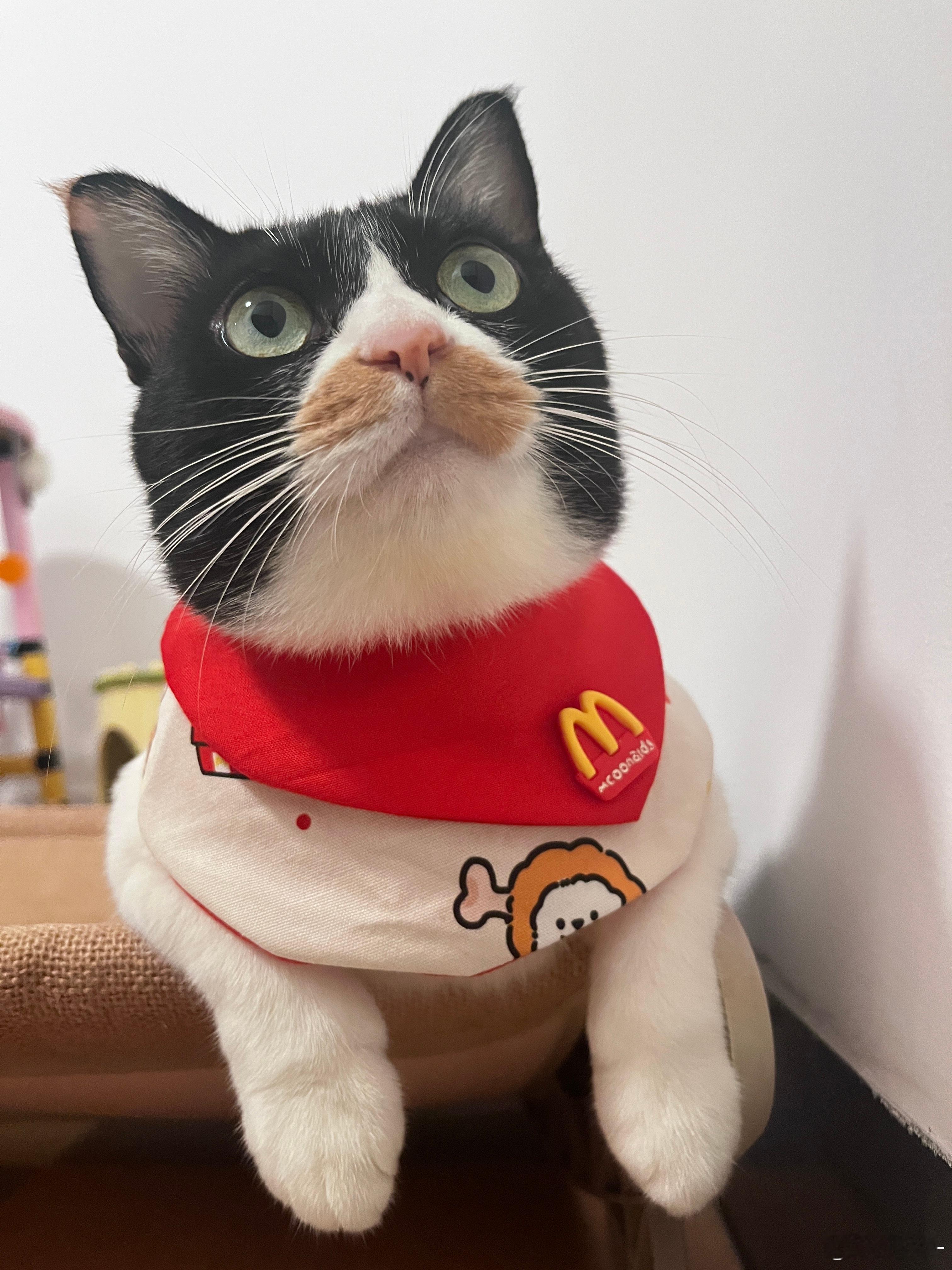 很不高兴为您服务 ​​​
