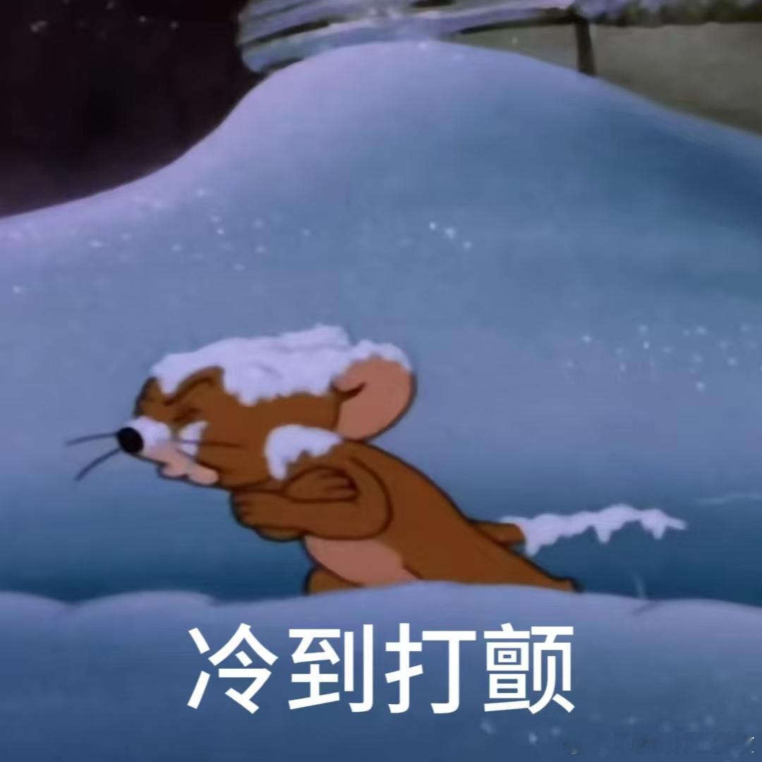 被子外的世界太残酷了🥶 