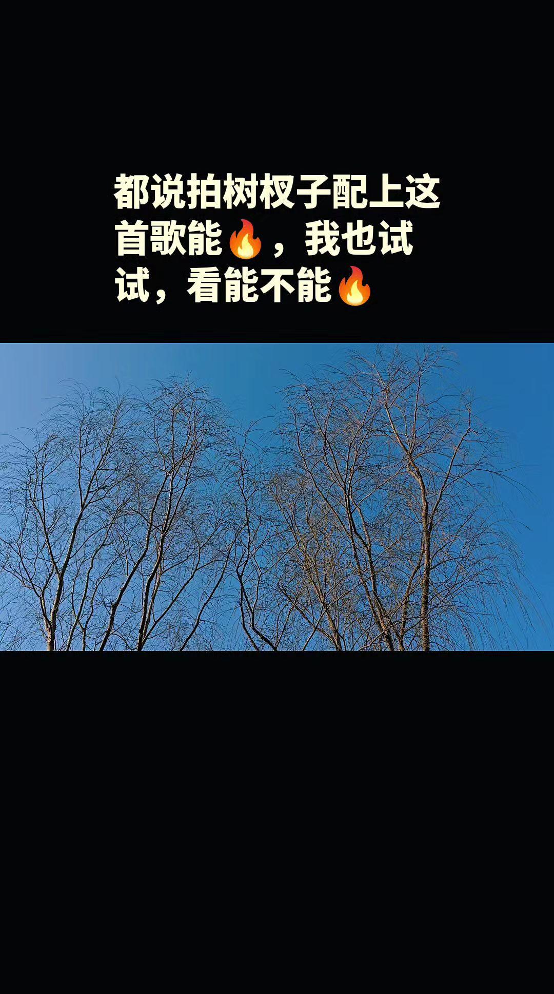 手机随拍原创作品 创作者中心 创作灵感 玩法达人计划 真实生活分享计划，