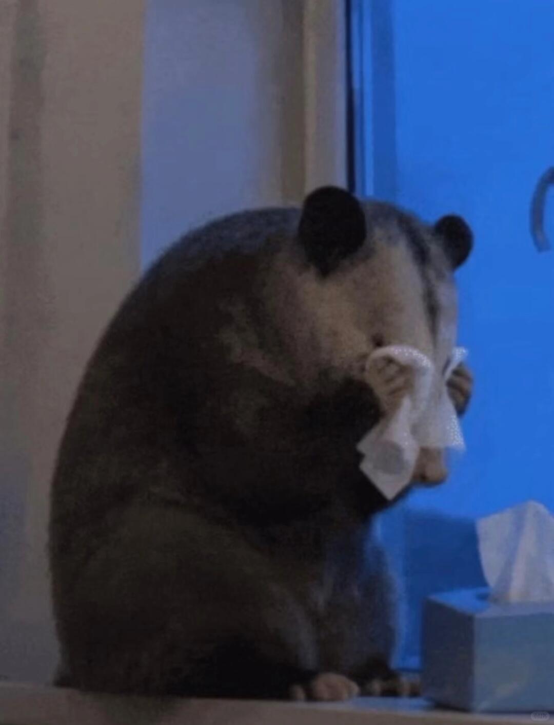 今天是《答案》陪我入睡吗 答案