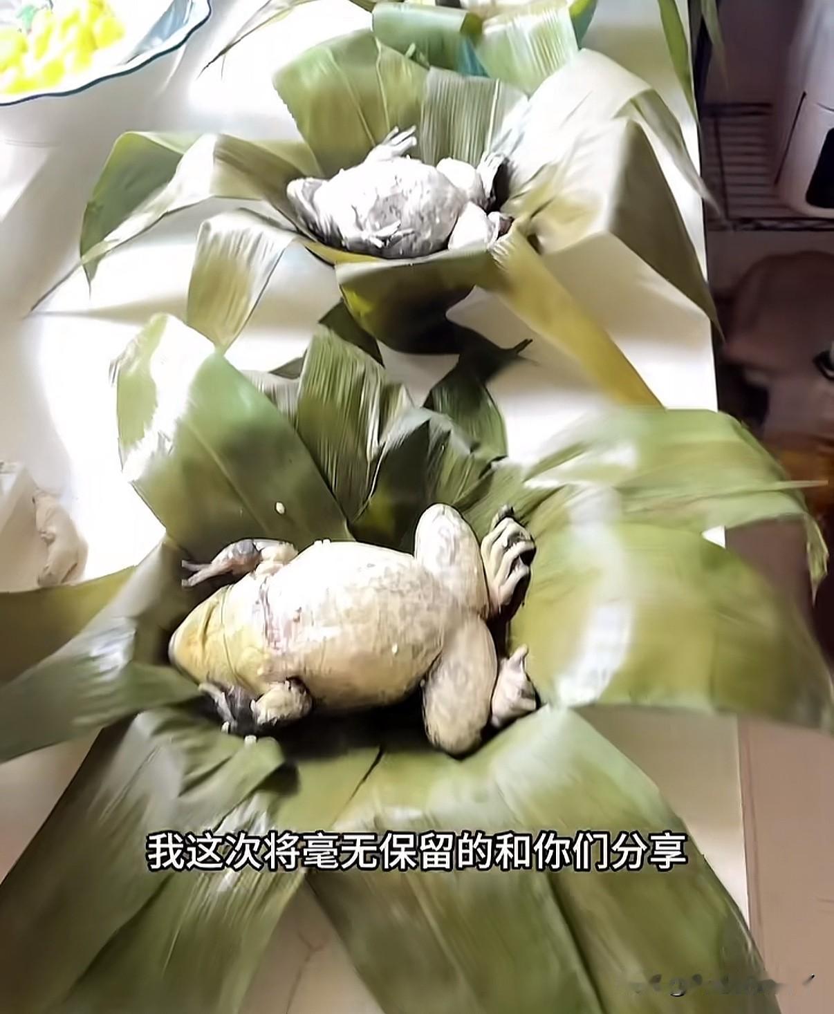 南北方的朋友还要争端午节吃咸粽子还是甜粽子吗？吉林一女子自创蛤蟆粽，并在网上教大