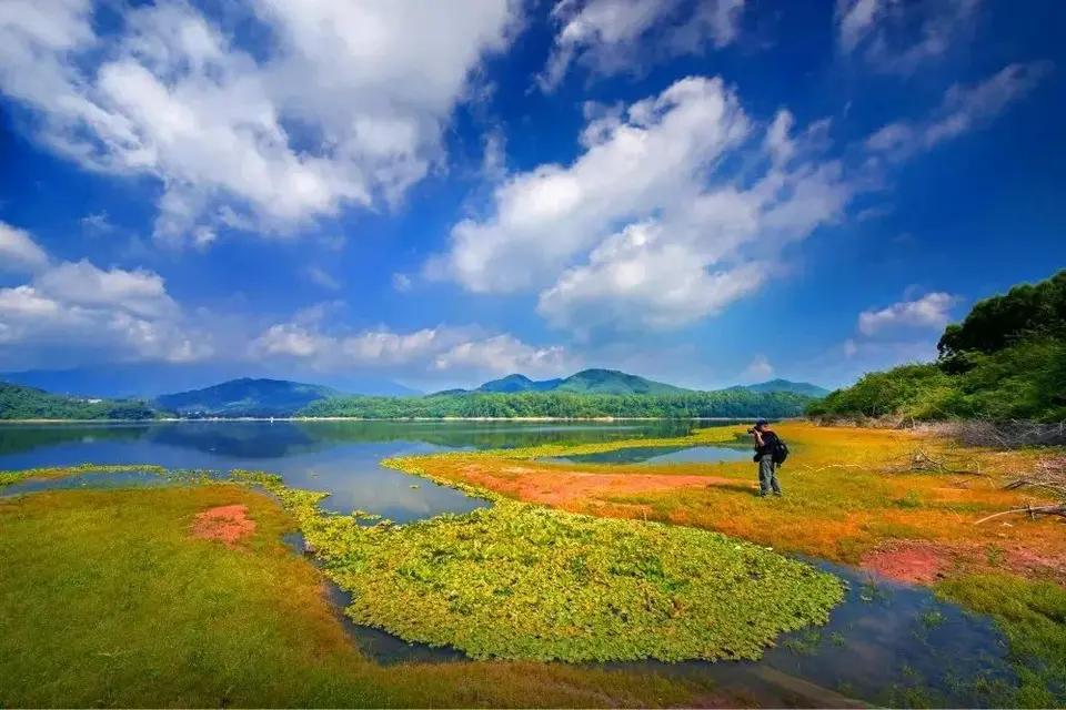 惠州的风里，总有一股花蜜的味道（诗二首）
 
我自大西北来
携着旷野的苍茫
从无