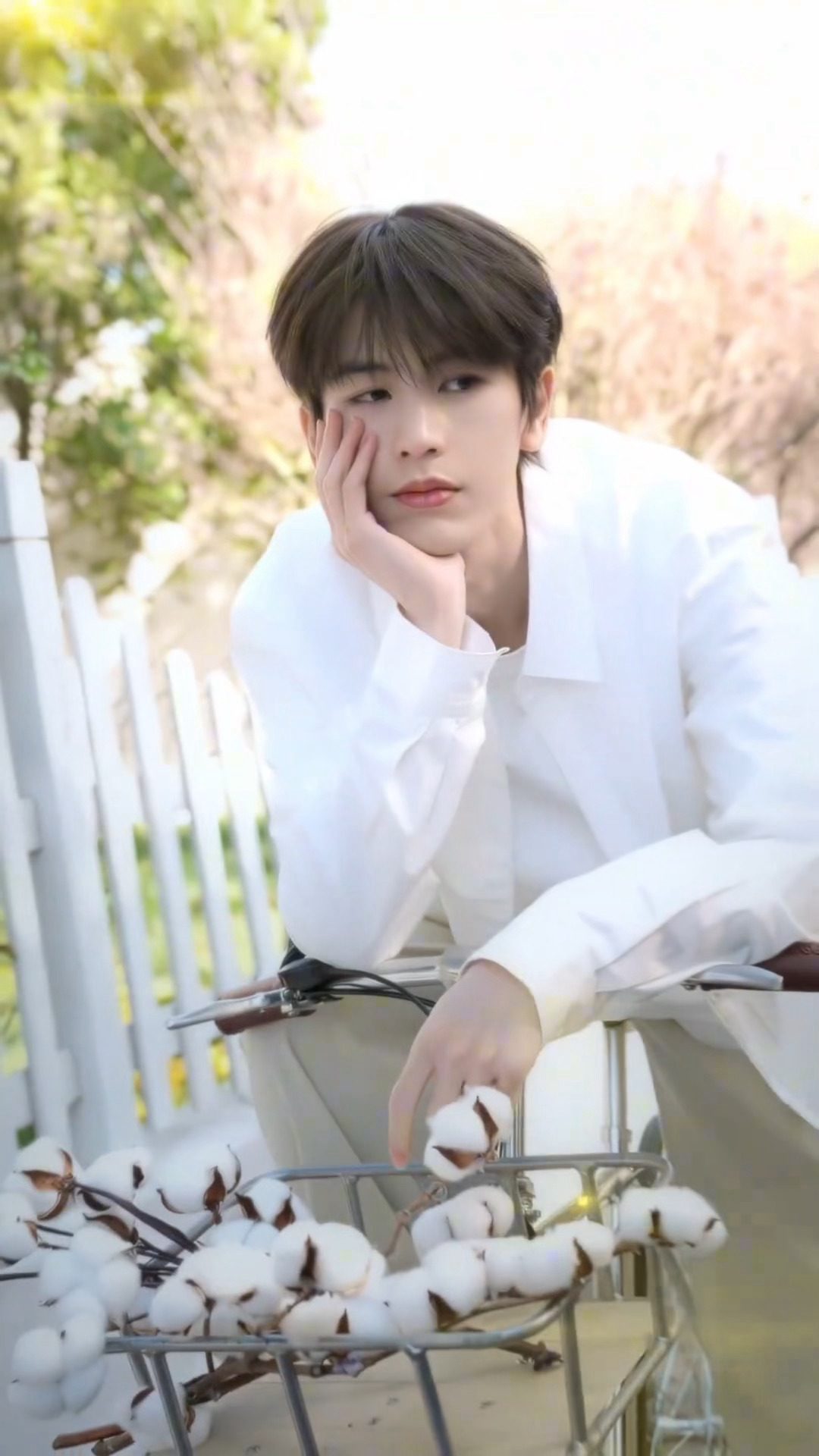 三月 春天 白衬衫 我梦回何苏叶了张凌赫春日氧气感梦回何苏叶